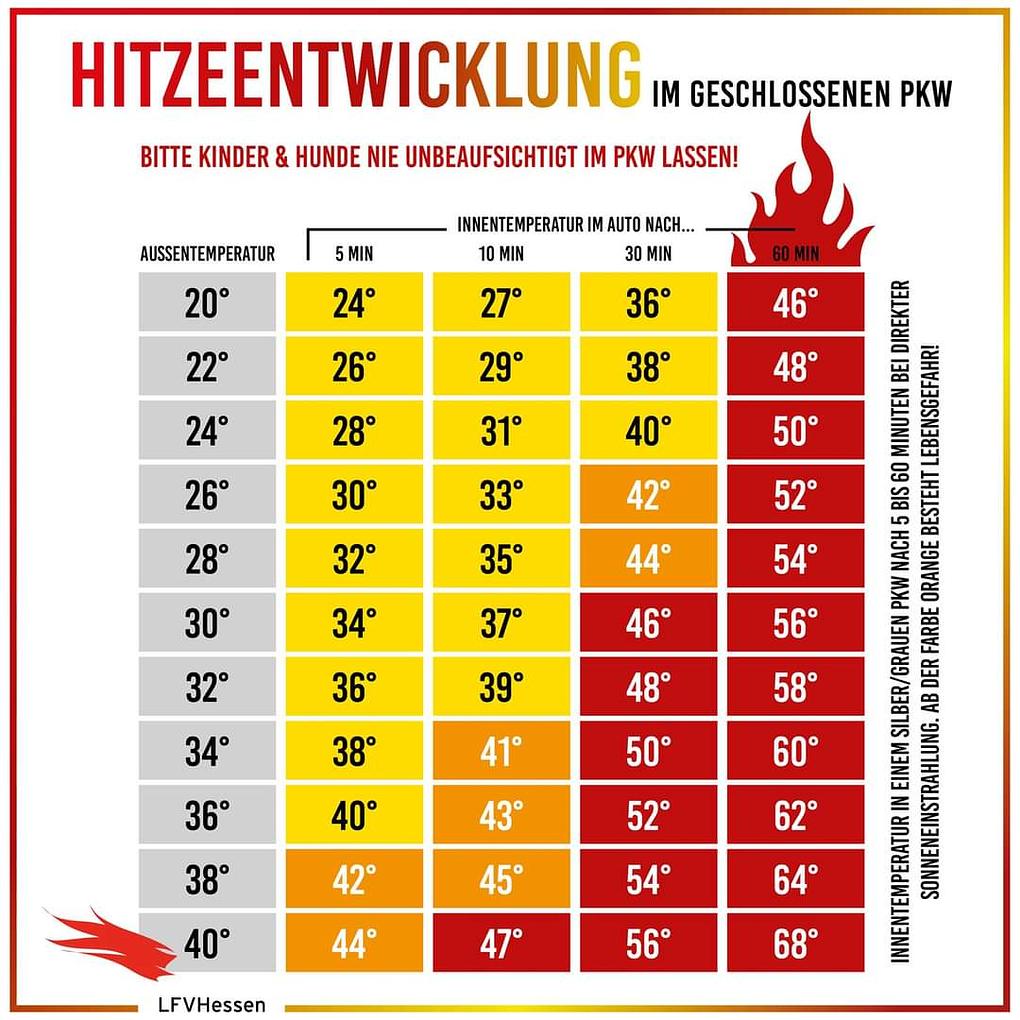 Bild im Zusammenhang mit dem Beitrag