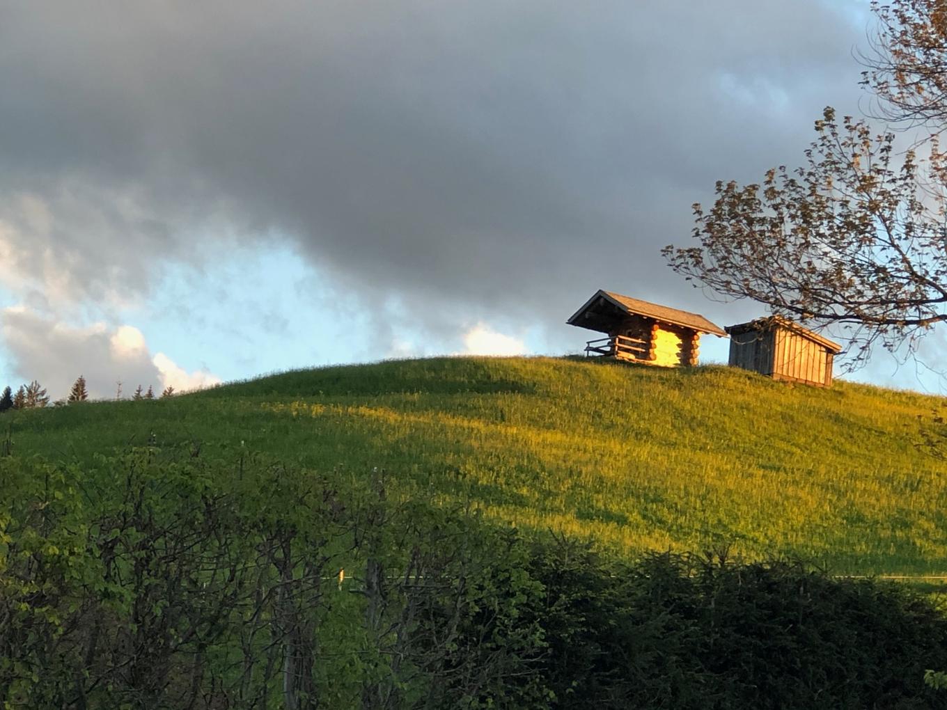 Bild im Zusammenhang mit dem Beitrag