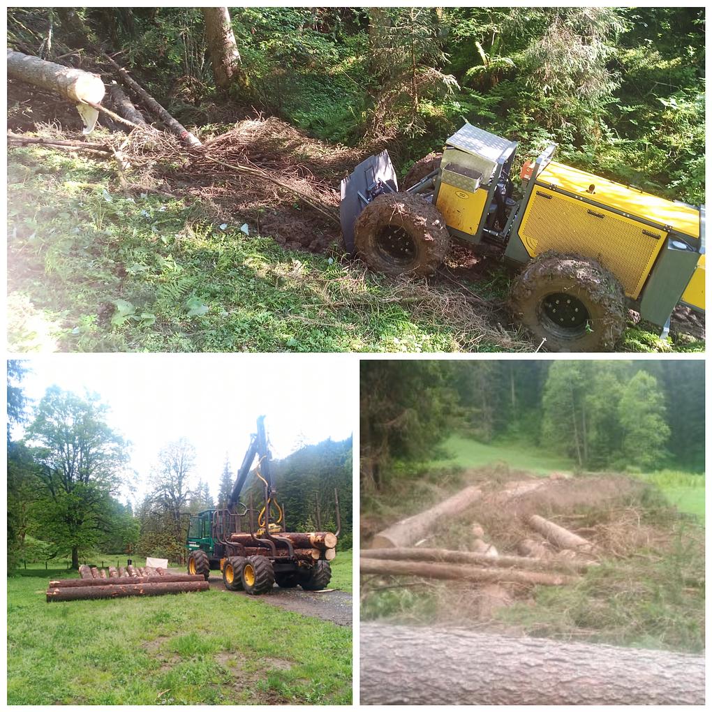 Collagebild 1