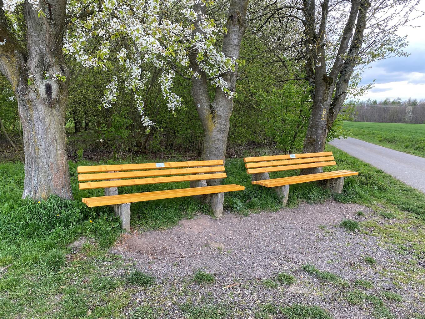 Collagebild 1