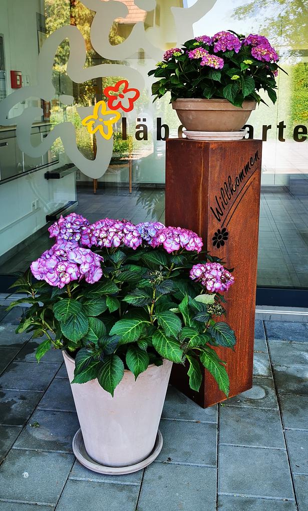 Collagebild 1