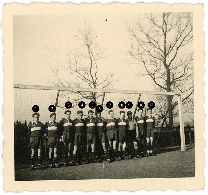 Collage image 1