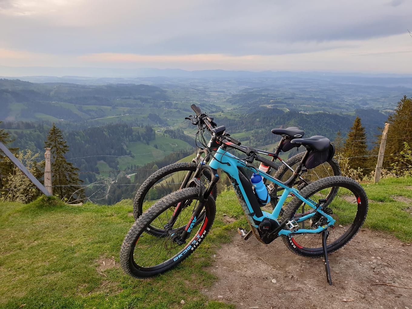 Bild im Zusammenhang mit dem Beitrag