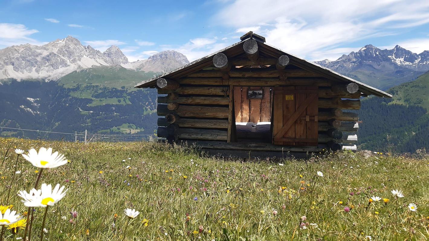 Bild im Zusammenhang mit dem Beitrag