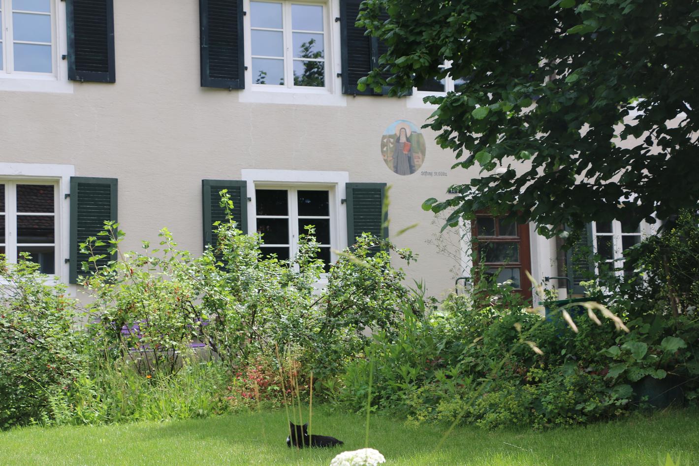 Collagebild 1