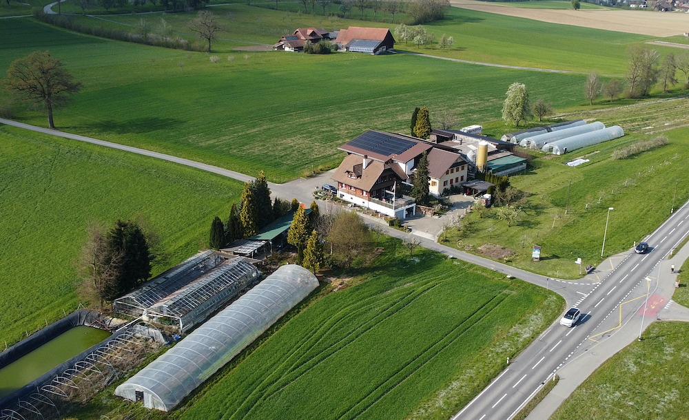 Bild im Zusammenhang mit dem Beitrag