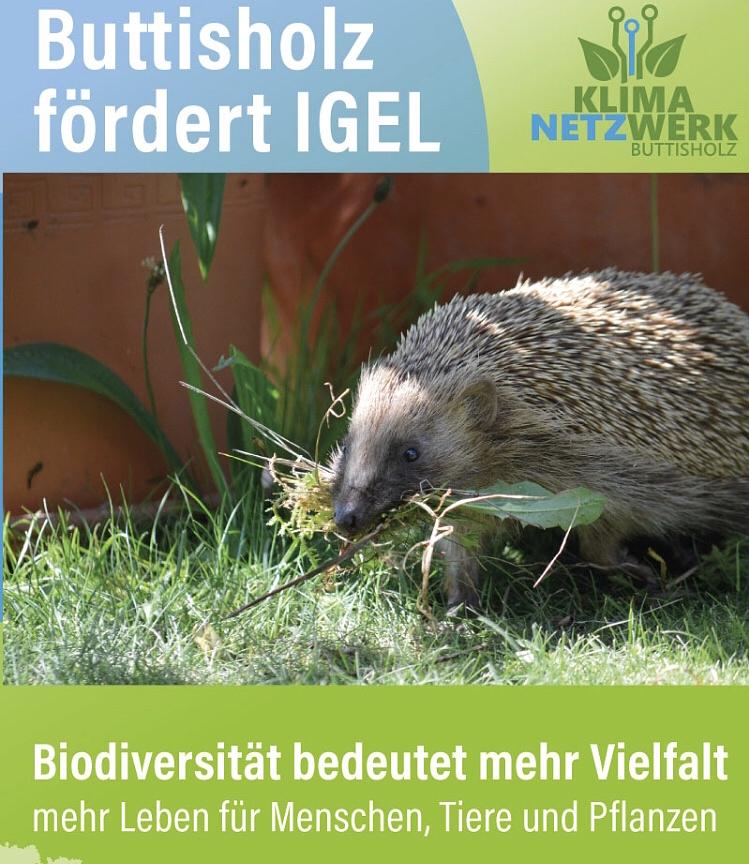 Bild im Zusammenhang mit dem Beitrag