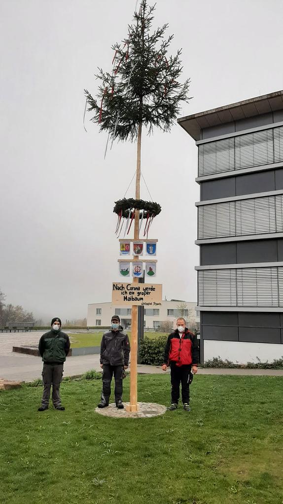 Bild im Zusammenhang mit dem Beitrag