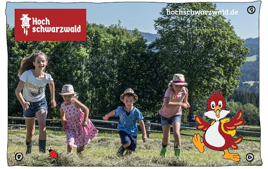 Collagebild 1
