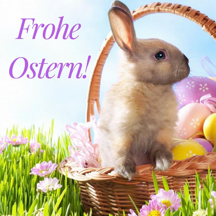Bild im Zusammenhang mit dem Beitrag