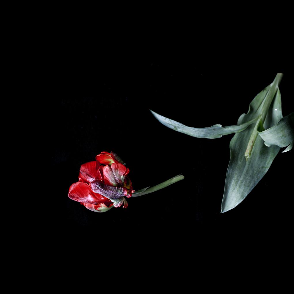 Collagebild 1