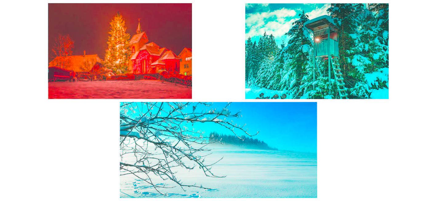 Collagebild 1