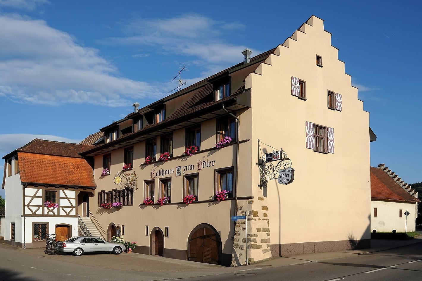 Bild im Zusammenhang mit dem Beitrag
