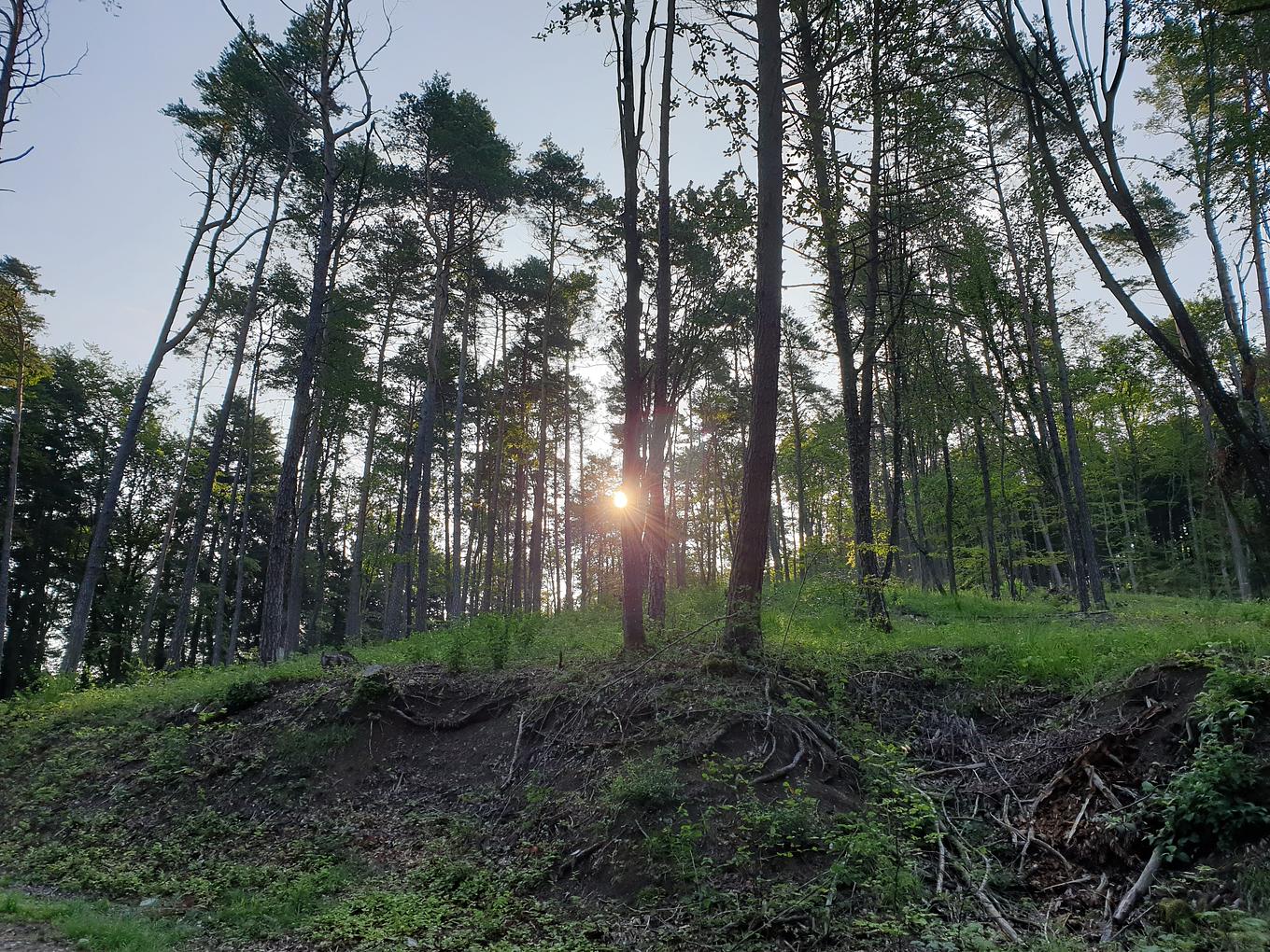 Bild im Zusammenhang mit dem Beitrag