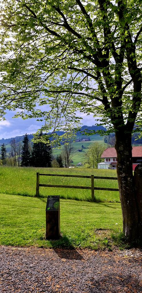 Bild im Zusammenhang mit dem Beitrag