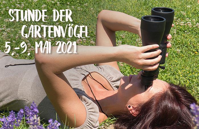 Bild im Zusammenhang mit dem Beitrag