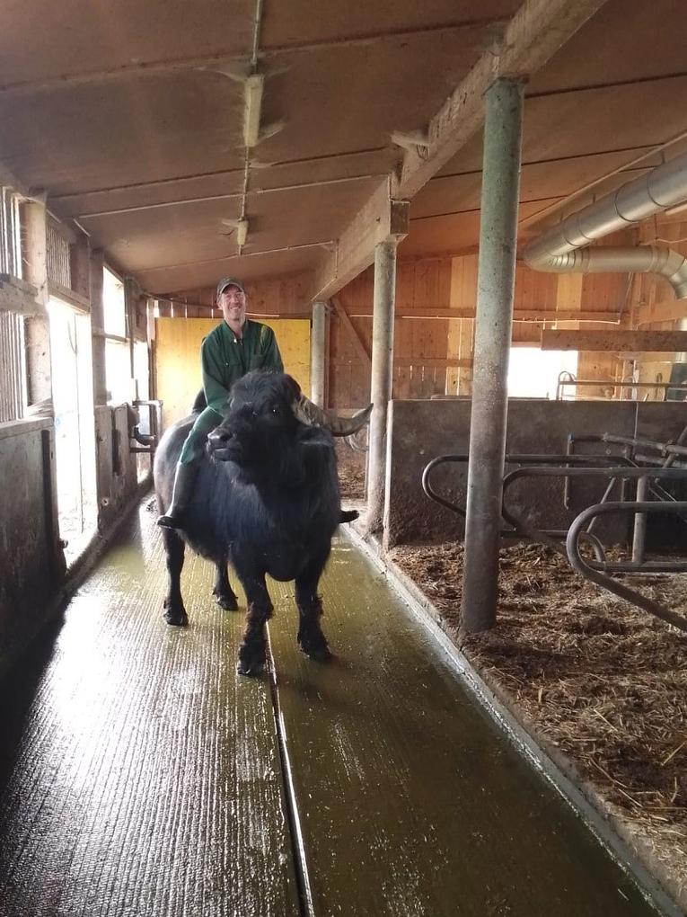 Image de collage 1