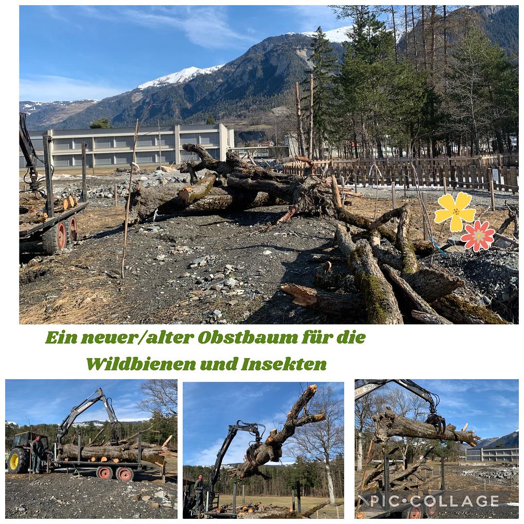 Bild im Zusammenhang mit dem Beitrag