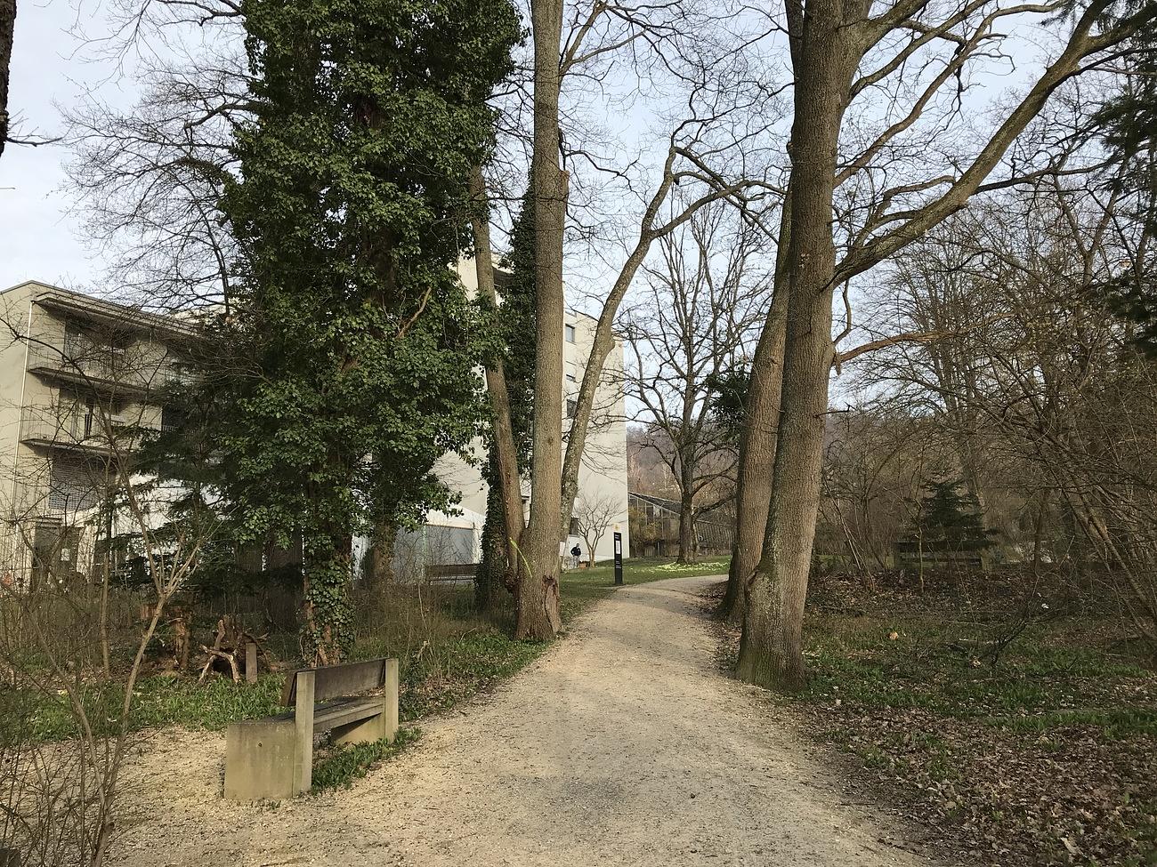 Collagebild 1
