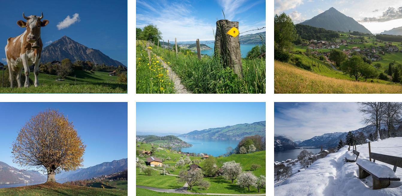 Collagebild 1