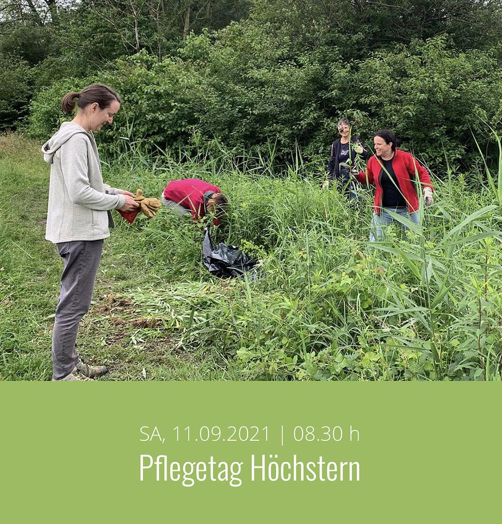 Bild im Zusammenhang mit dem Beitrag