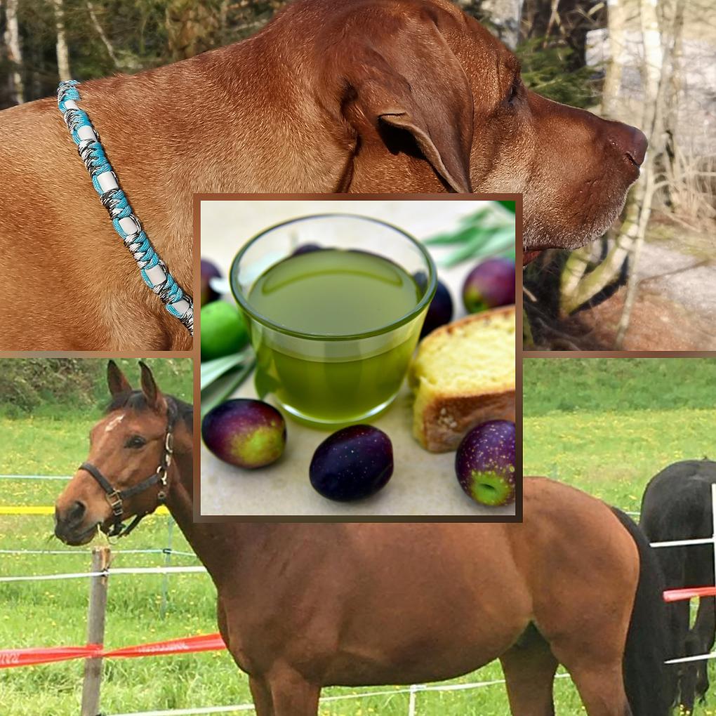 Collagebild 1