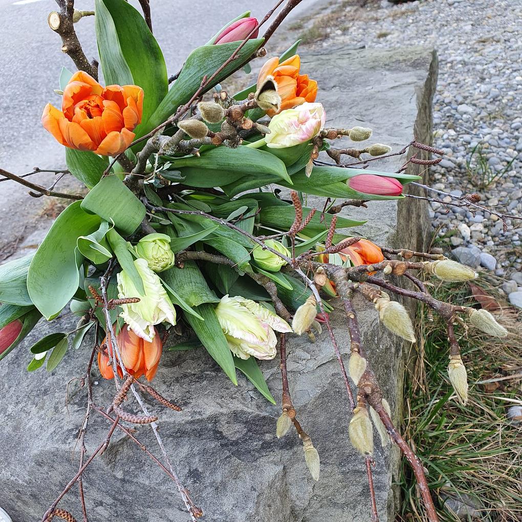 Collagebild 1