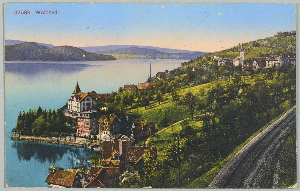 Collage image 1