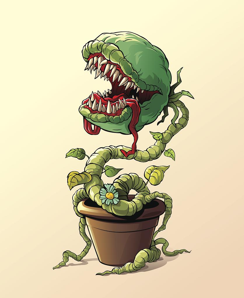 Image related to the post
