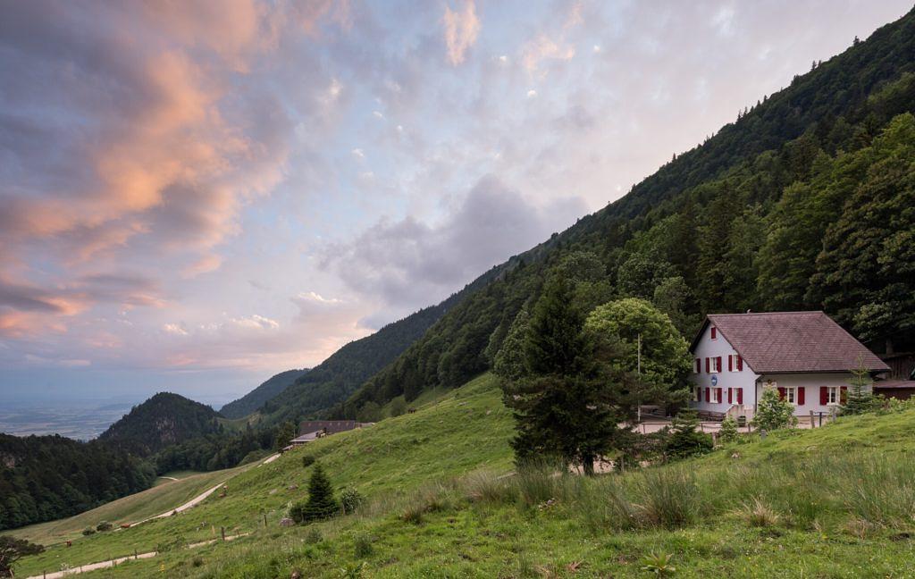 Bild im Zusammenhang mit dem Beitrag