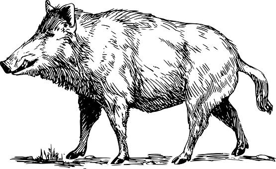 Image related to the post