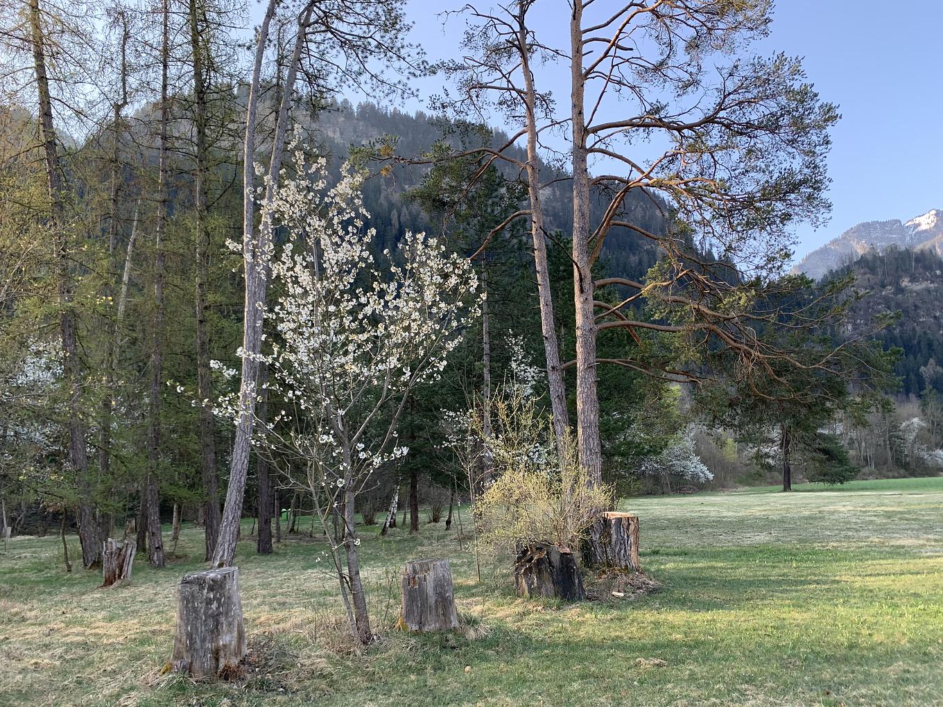 Bild im Zusammenhang mit dem Beitrag