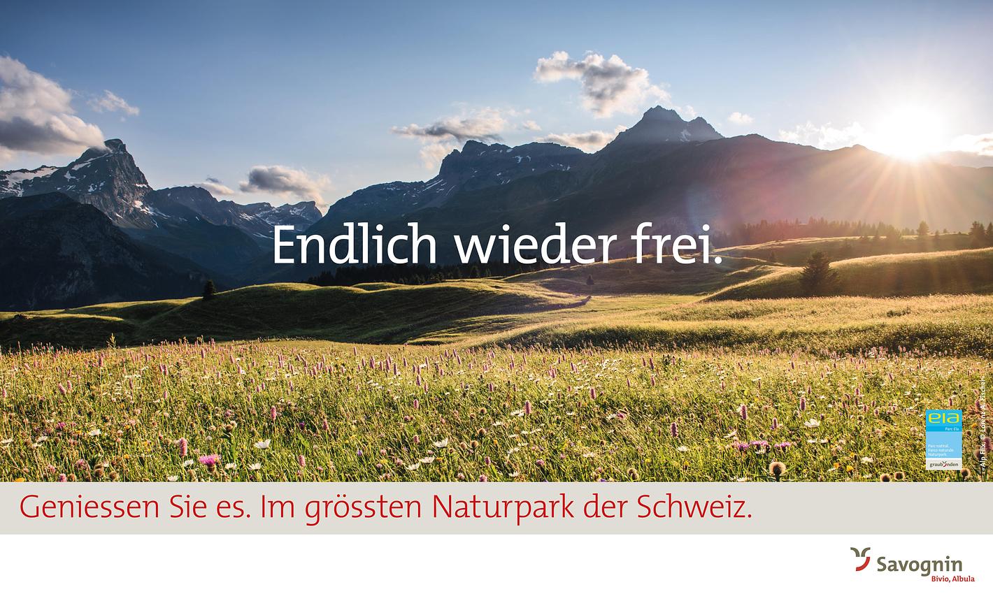 Bild im Zusammenhang mit dem Beitrag