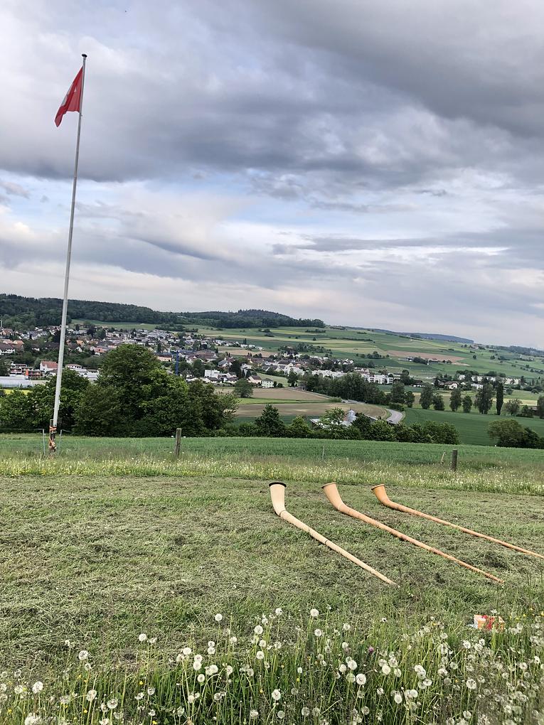 Bild im Zusammenhang mit dem Beitrag
