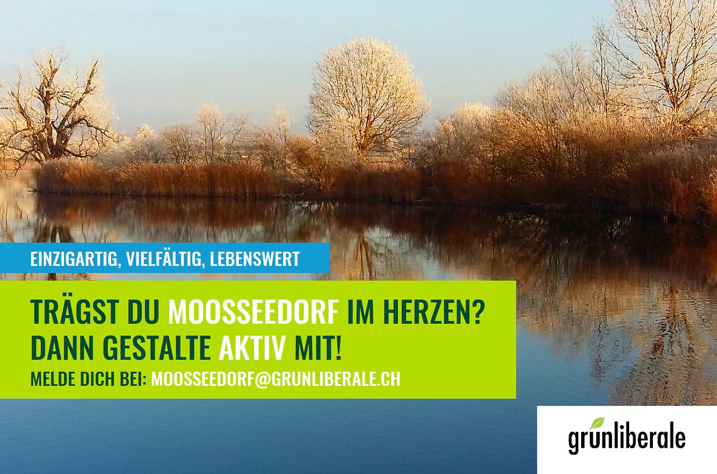 Bild im Zusammenhang mit dem Beitrag