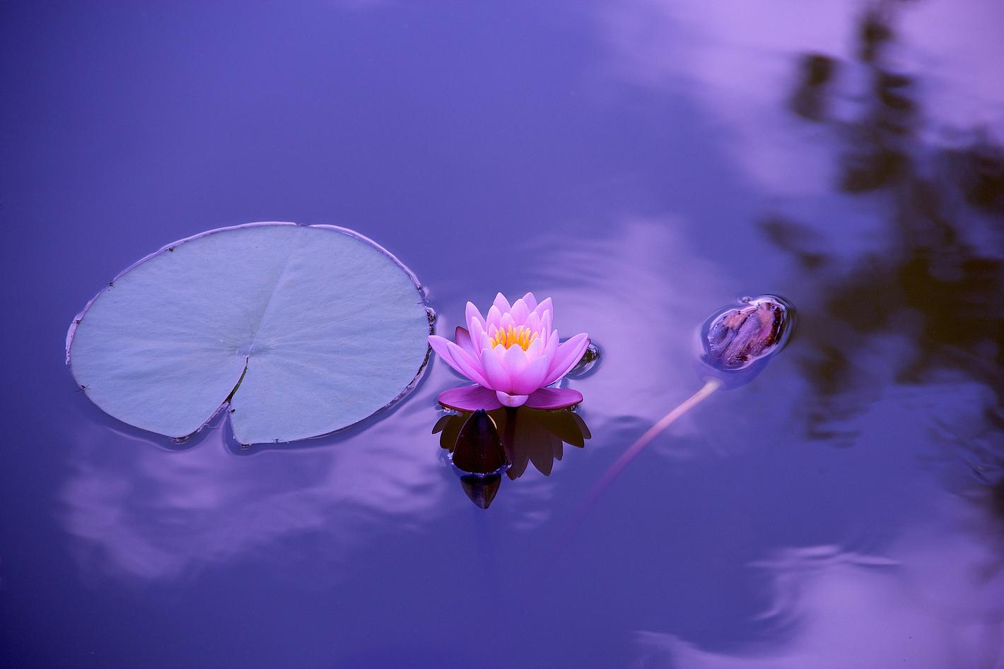 Image related to the post