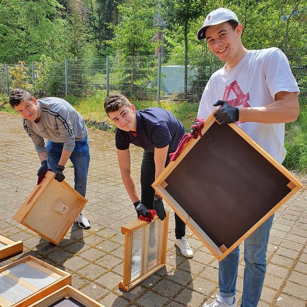 Bild im Zusammenhang mit dem Beitrag