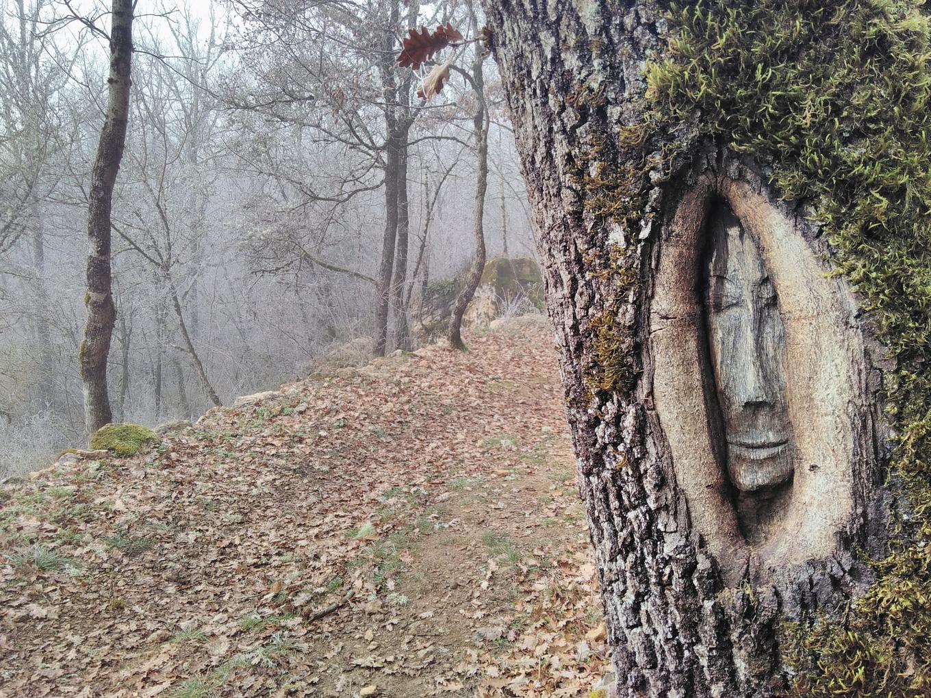 Bild im Zusammenhang mit dem Beitrag