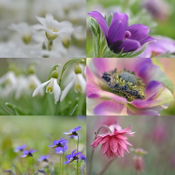 Collagebild 1
