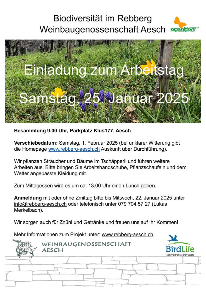 Bild im Zusammenhang mit dem Beitrag