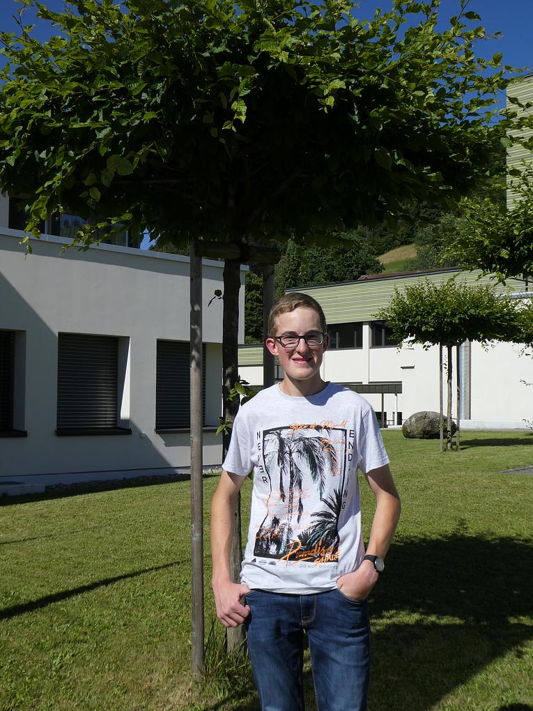 Collagebild 1