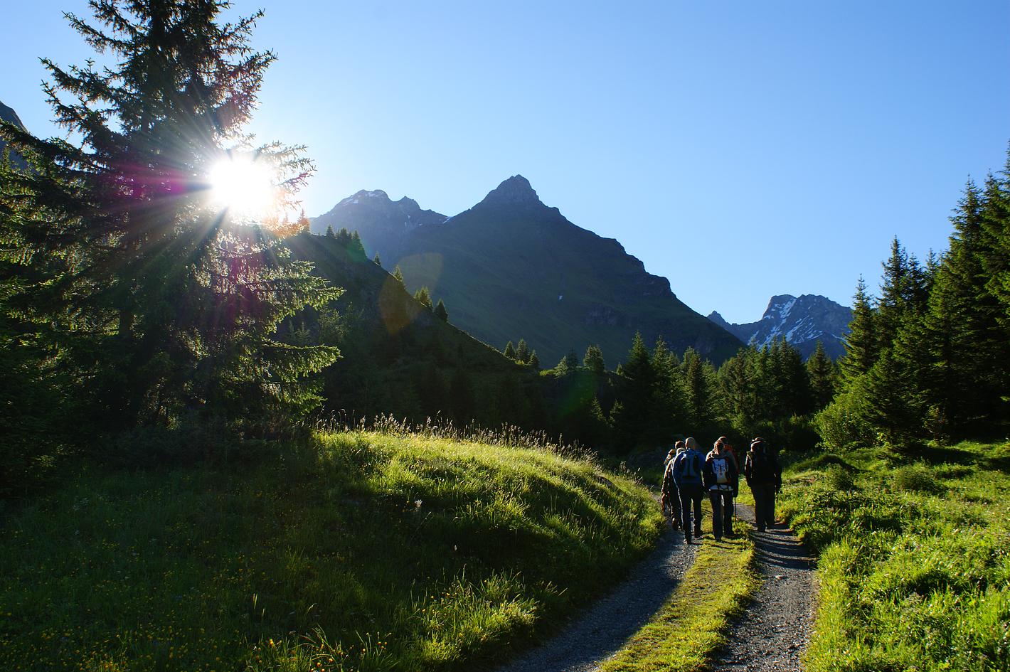 Bild im Zusammenhang mit dem Beitrag