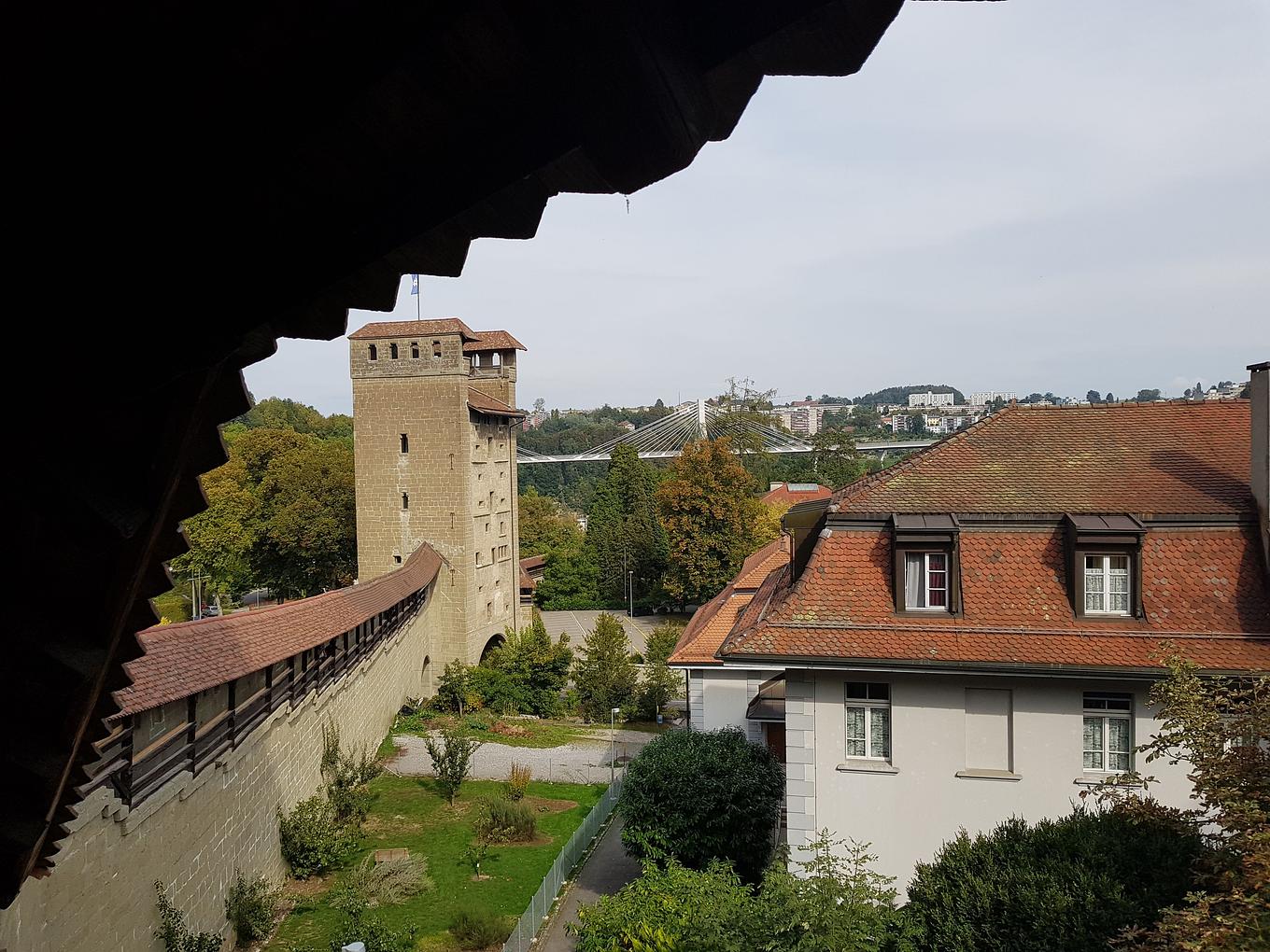 Bild im Zusammenhang mit dem Beitrag