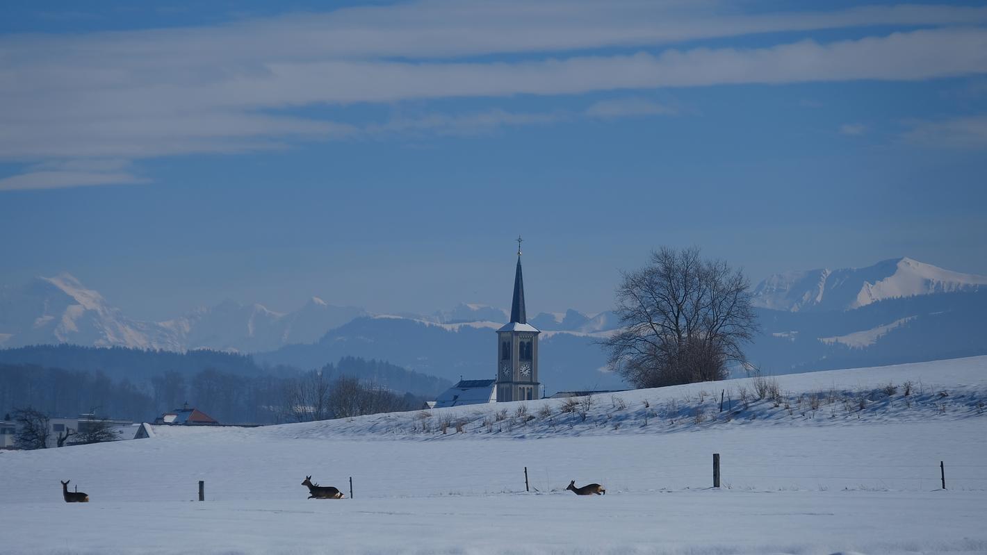 Bild im Zusammenhang mit dem Beitrag