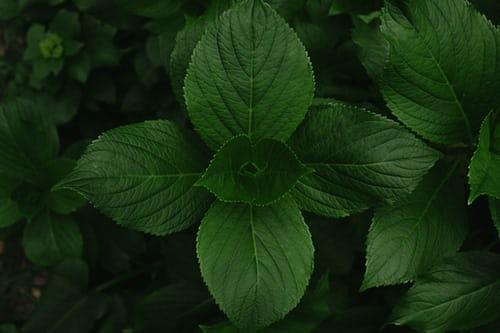 Image related to the post