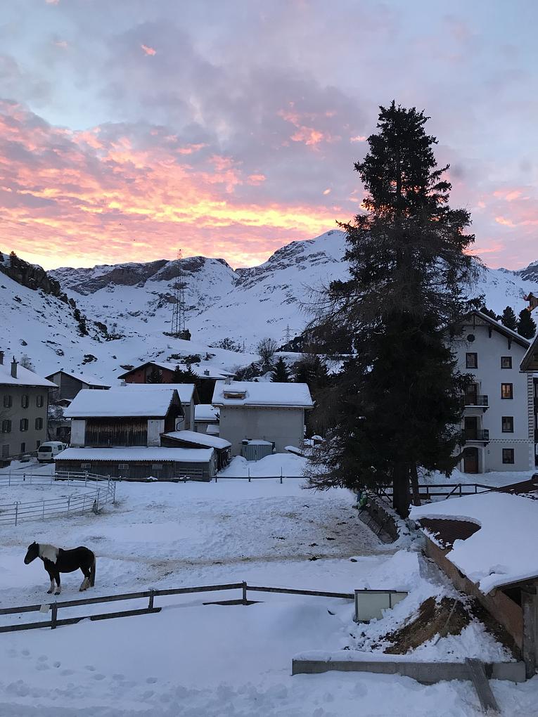 Bild im Zusammenhang mit dem Beitrag