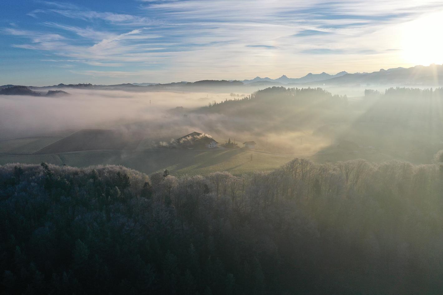 Bild im Zusammenhang mit dem Beitrag