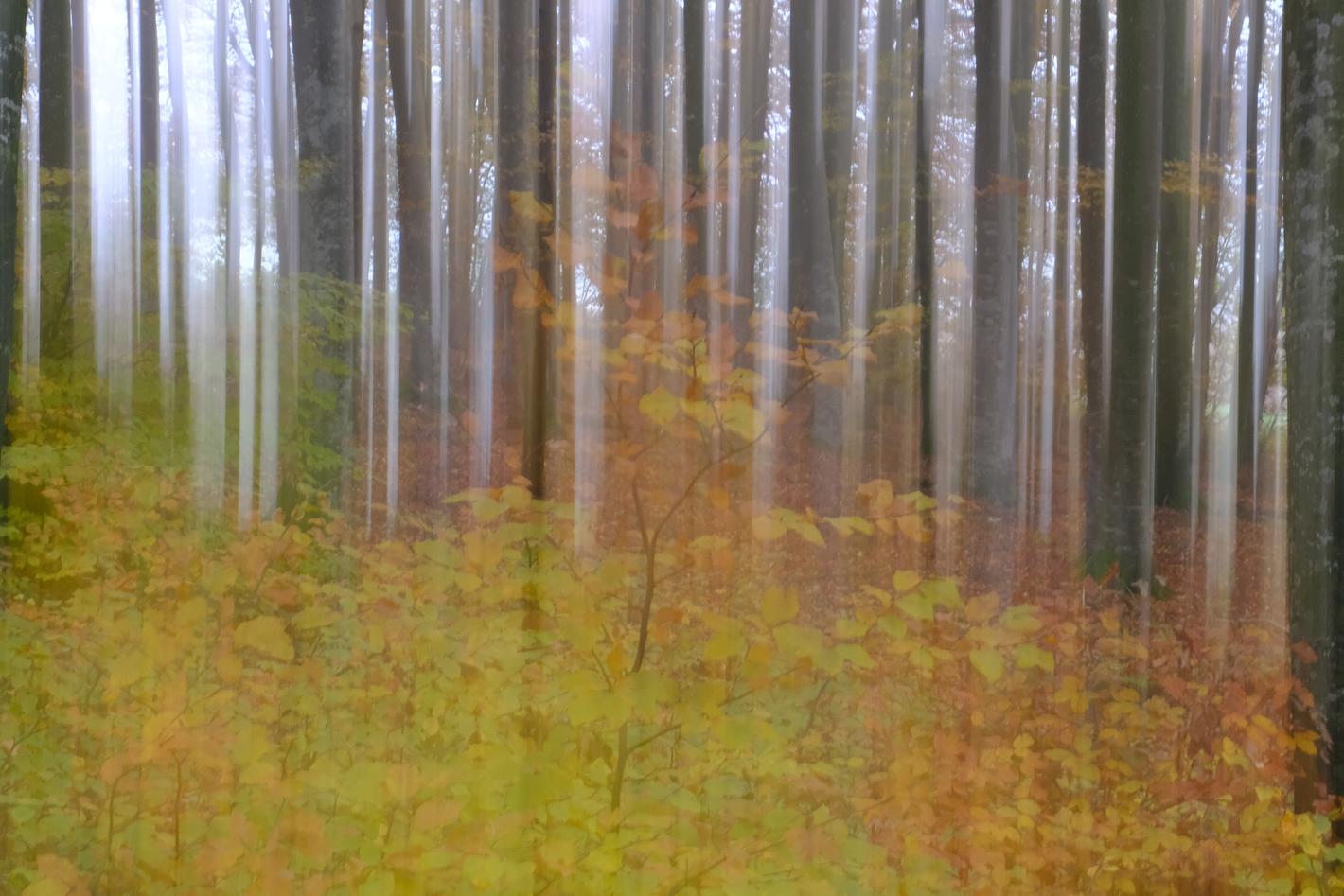 Collagebild 1
