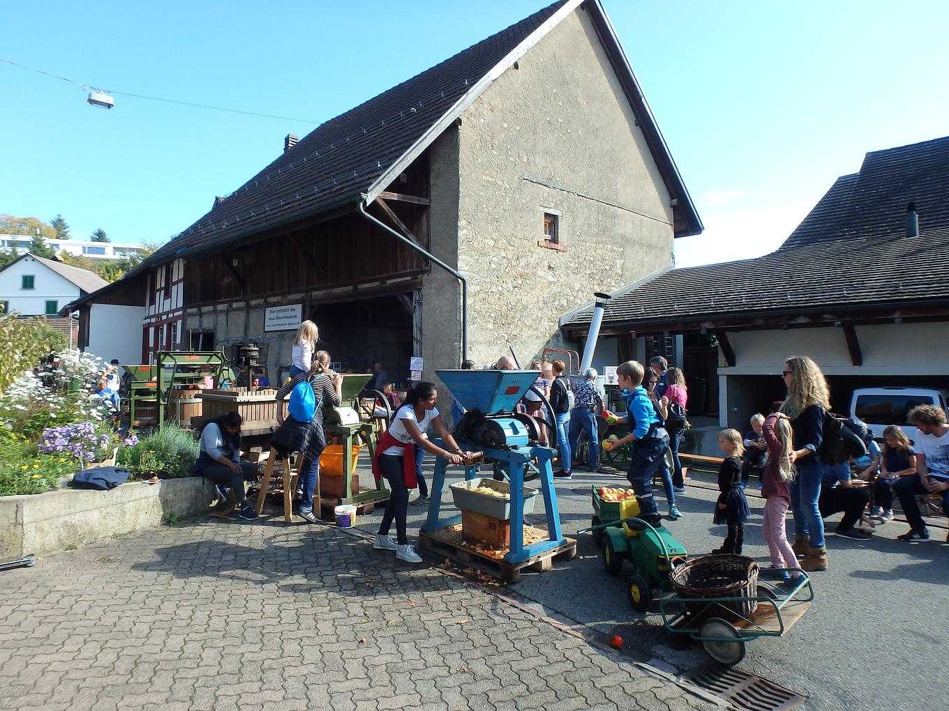 Collagebild 1