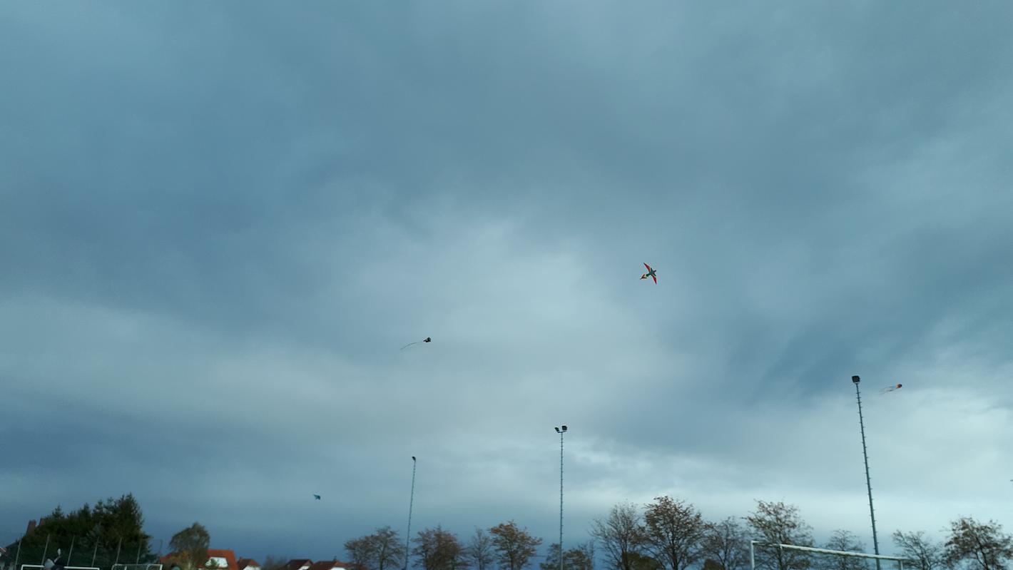 Collagebild 1